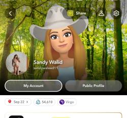 sandywaleed11