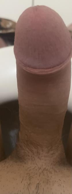 cam8282