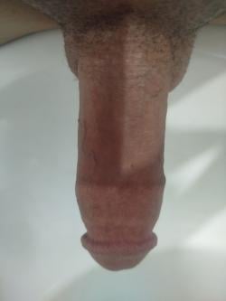 aminb picture