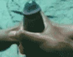 shortstroker picture