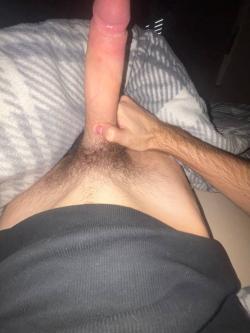 kk_k20262219