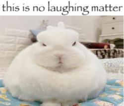 mlowgwl