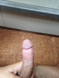 rodrigo_s26150