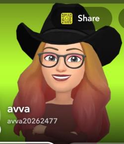 avva20262477