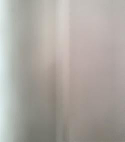 rentse_bloma picture