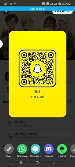 a14647384