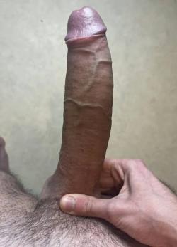 lucasthefurrey