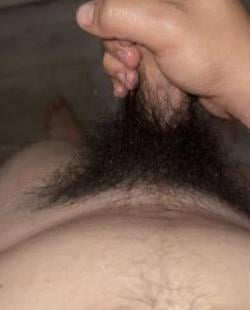 jay64732_
