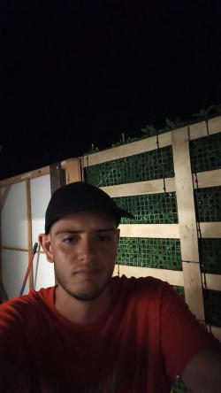 alejandrognecc picture