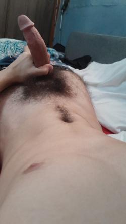 jlsss.2169 picture