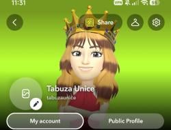 tabuzaunice