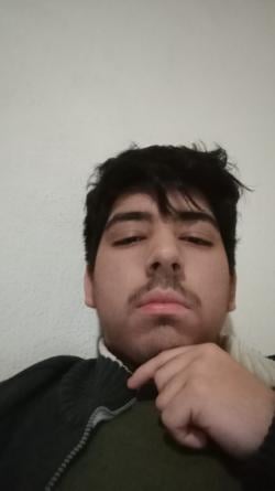 aleckr2 picture