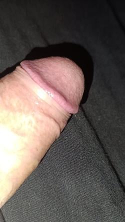 bwc1626