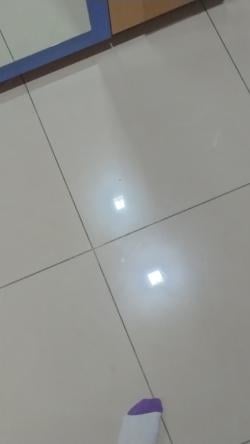 duckystarks picture