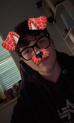 dami_226
