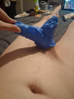 foto de diaperpet