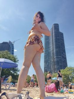 transslt14 picture